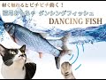 猫おもちゃ　動く魚のぬいぐるみ　ダンシングフィッシュ
