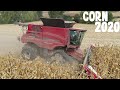 Xl moisson de mais grain 2020 dans la lze   ih 9240  in france