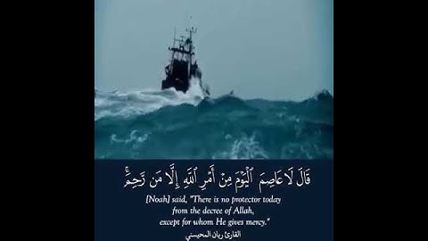 صوت جميل القارئ ريان المحيسني