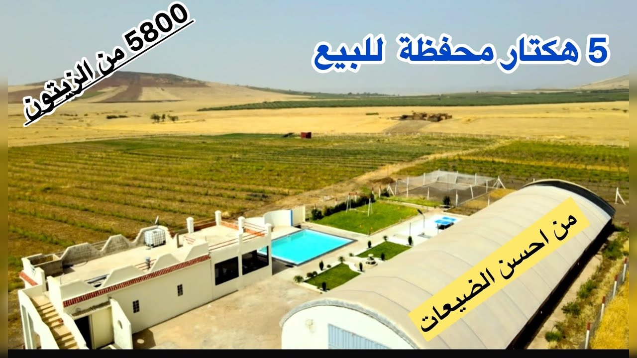 ضيعة فلاحية محفظة 5 هكتار مجهزة بالكامل + فيلا و 5800 من الزيتون ومسبح تم التخفيض 50 مليون للهكتار 