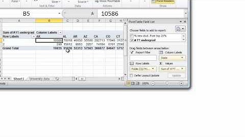 Creating label filters in pivot table in excel 2010