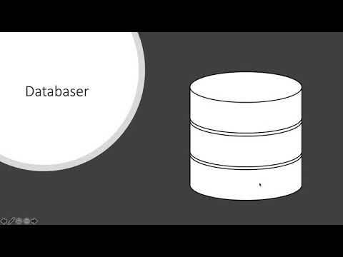 Video: Hva Er En Database