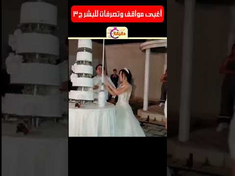 أغبى مواقف وتصرفات للبشر ج٣