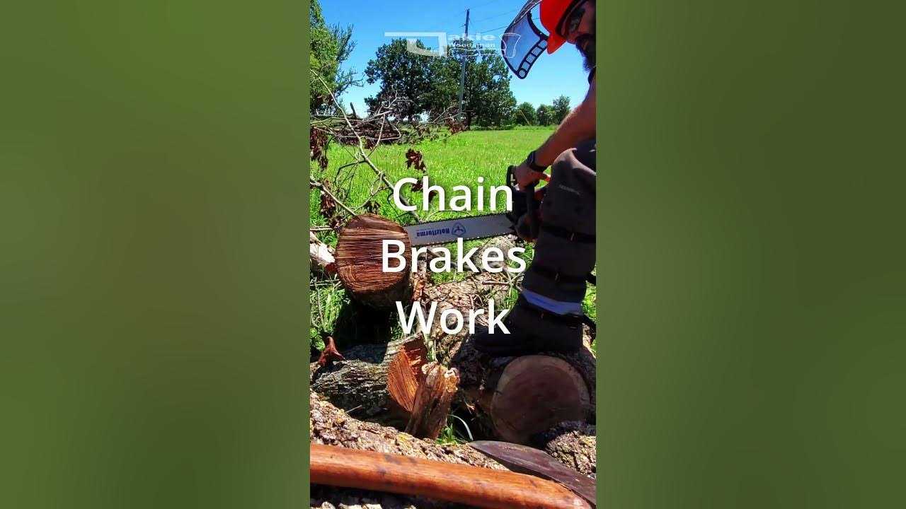 CHAINSAW Safety - Do YOU have A FIRM GRIP? - After a Kickback Something Changes  #shorts #chainsaw