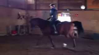 IMG 5384
