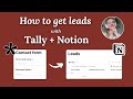 How to get your leads in Notion with Tally forms