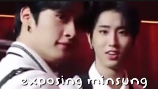 stray kids exposants minsung