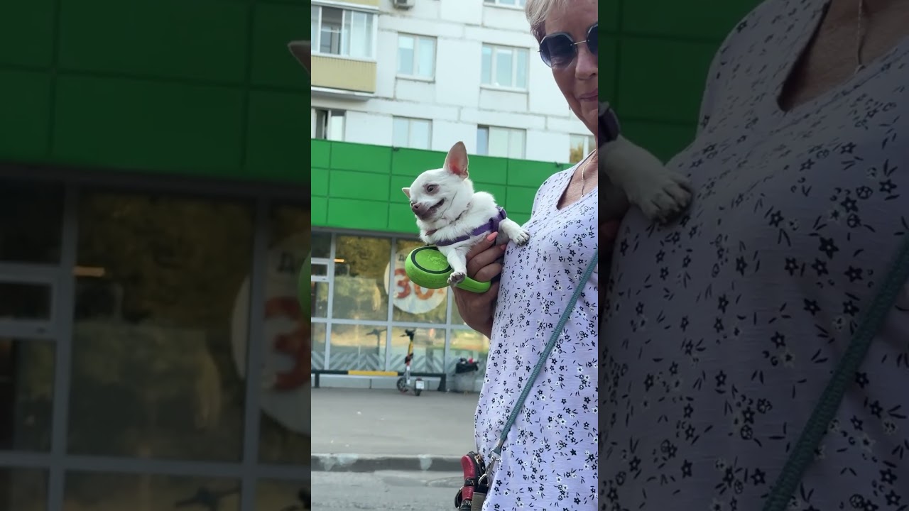 Перекупы bmw 