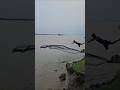 Grandfather was fishing in the river when he saw a huge fish and jumped into the river to catch it.