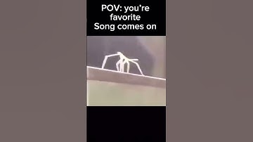 #funny #stickbug #dance