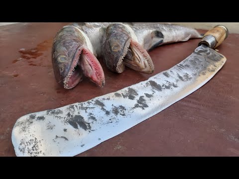 Blacksmithing : making a fish cutting knife, 