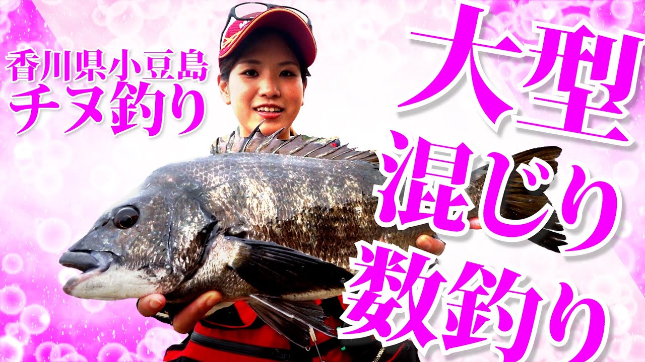 初夏チヌ攻略 大型混じりの数釣り 香川県小豆島 前編 Youtube