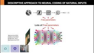 Penn Vision Seminar: Ruben Coen-Cagli, PhD