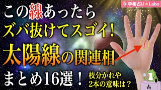 【手相占い】ズバ抜けてスゴイ！太陽線の関連相まとめ16選！枝分かれや2本の意味は？【蛙の手相占い】