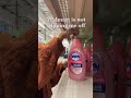 Walmart Is Not Video By Chemical Xxx Shorts Walmart Is Not Video By Chemical Xxx Shorts
