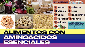 ¿Qué alimentos cubren todos los aminoácidos?