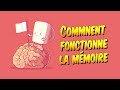 Psychologie Comment Fonctionne La Mémoire