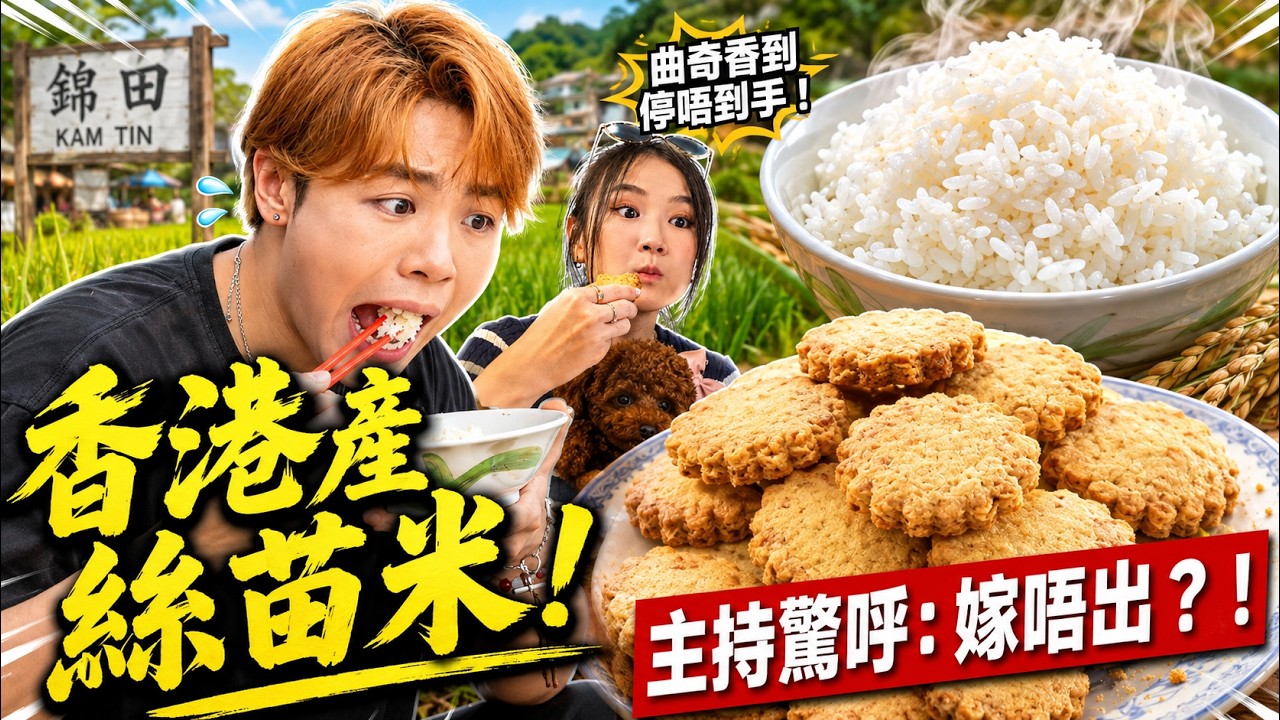 拋秧挑戰搞到「嫁唔出」?直擊元朗絲苗米復興實錄!錦田市集手工曲奇秘辛|香港原味道|健康360 TVB 縮圖