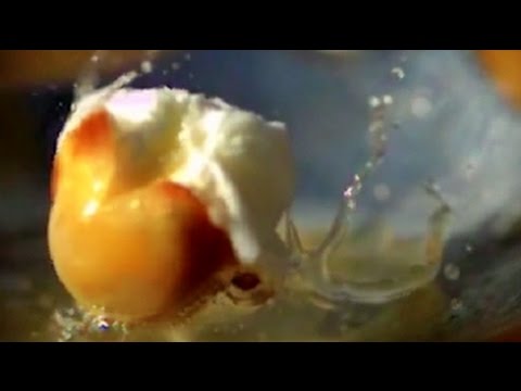 VIDEO SLOW MOTION LETUSAN JAGUNG POPCORN