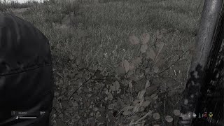 DayZ_20240201201301
