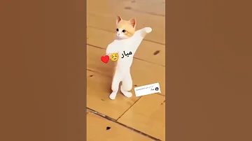 ميار الجزائر عمان السعودية العراق امارات مصر تركيا الهند الامارات 