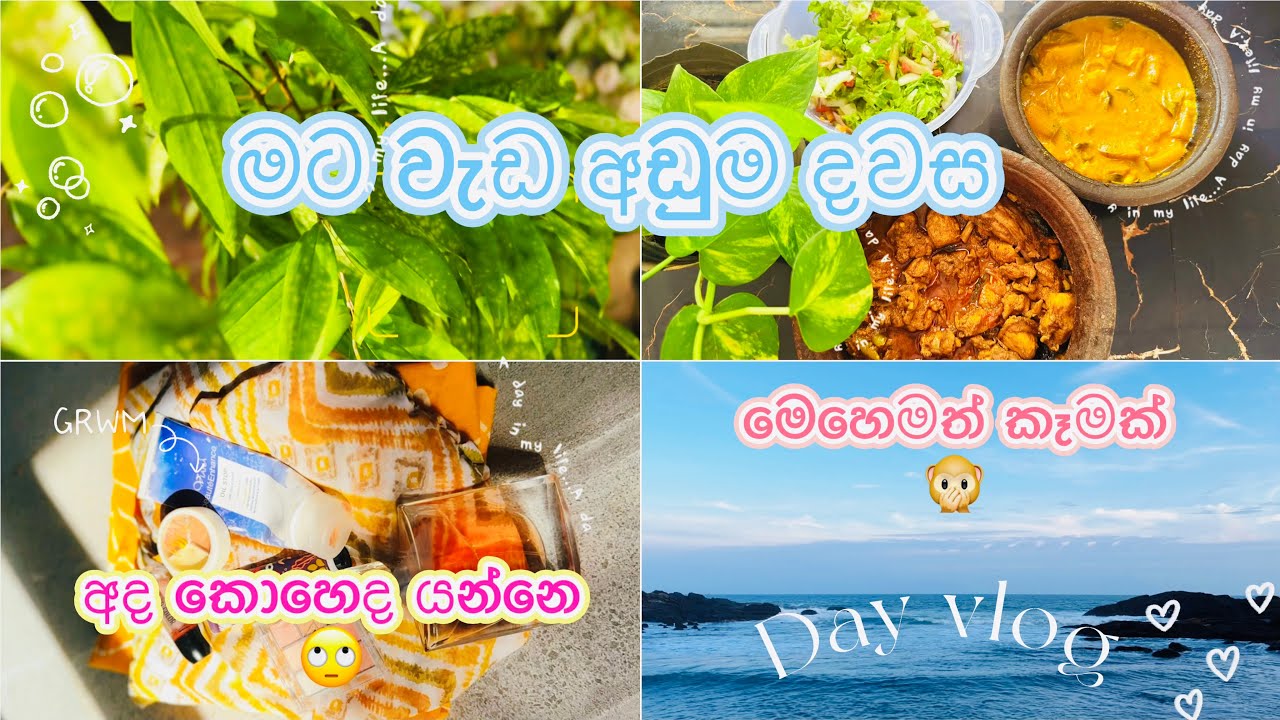 A day in my life🌷✨| day vlog 🌸| Aesthetic ✨ #adayinmylife #lifestyle #cooking #aesthetic 