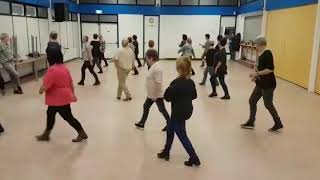 Video thumbnail of "PUSSYCAT-Line Dance / The Fun Line Dancers/ Marian van der Heijden"