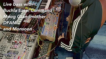Buchla Easel Command, eurorack 0-ctrl, Grandmother, DFAM, and live bass electronic music performance