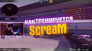 КАК ТРЕНИРУЕТСЯ MAERCS CS2 Ι ScreaM