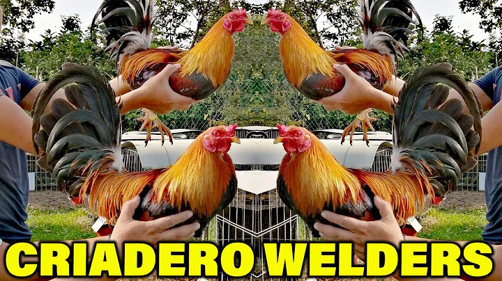 Asil Sweater Jose Gamez Criadero Welders