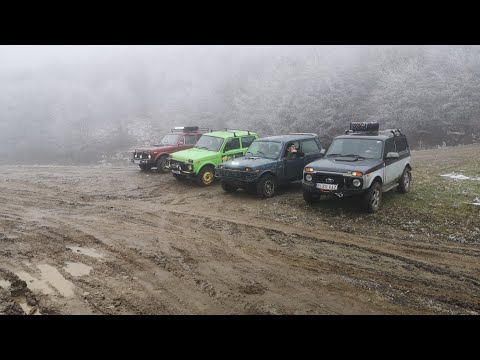 4x Lada Niva