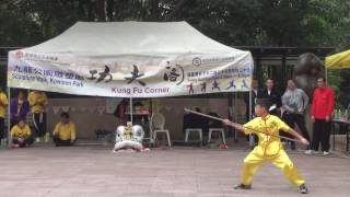 香港功夫表演2017011512