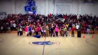 Harlem shake at CCHS!!!
