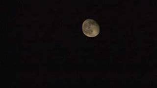Moonspell - Lunar Still