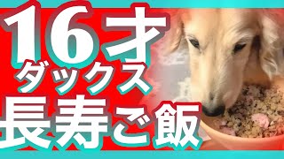 16歳ダックスの健康ご飯＆おやつ＆サプリ！犬が長生きするための食材研究！