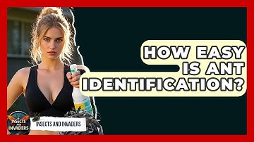 How Easy Is Ant Identification? - Insects and Invaders