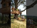 Amazing Treehouse Construction Timelapse | From Start to Finish 🌳🏡 #Shorts