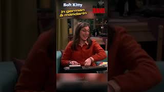 Soft Kitty in German and Mandarin 😆 Amy for Fun screenshot 3