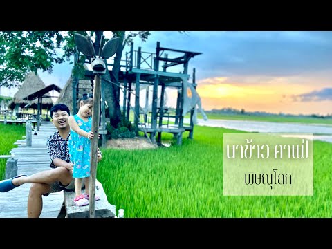 เที่ยวพิษณุโลก|นาข้าว คาเฟ่ บรรยากาศดี วิวท้องทุ่งนา ถ่ายรูปสวยมาก#ร้านกาแฟ #คาเฟ่ #พิษณุโลก #รีวิว