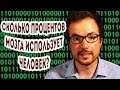 Сколько Процентов Мозга Использует Человек?