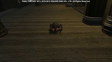 Final Fantasy XIV Minions - Chigoe Larva