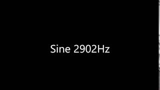 Sine 2902Hz Audio Only