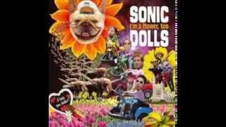 Sonic Dolls - In Case Youre Unaware