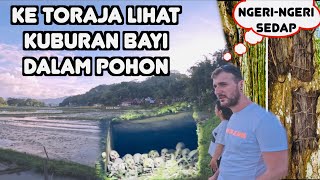 Pemakaman Bayi Di Atas Pohon Di Toraja Bikin Bule Ngeri-Ngeri Sedap 🤭