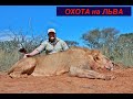 Africa in the Scope Part1 Охота на Льва Big 5 Lion Hunting
