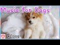 Musique de sommeil relaxante pour chien  12 heures de musique antistress pour chiens