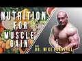 Basic Principles for Nutrition for Muscle Gain | Nutrition for Muscle Gain- Lecture 1
