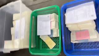 [박주현 변호사] 3.9 대선 - 송파개표소 개표영상