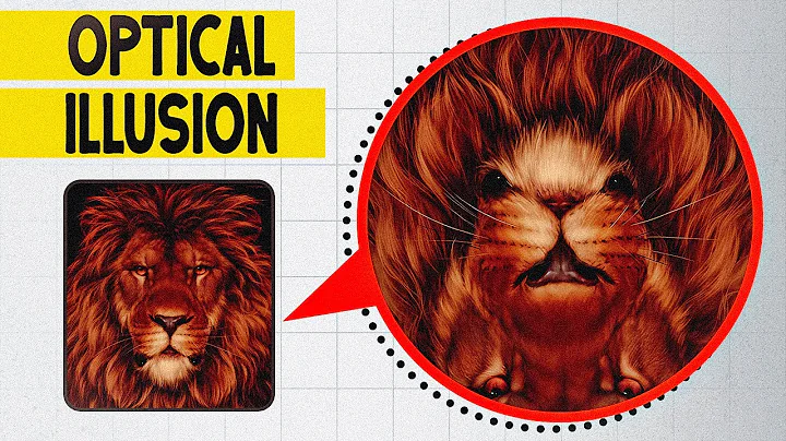 13 Optical Illusions to Challenge Your Mind and Vision