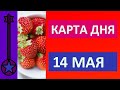 Карта дня 14 мая 2021 Таро прогноз.